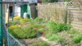 Teilans. Garten