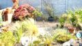 Teilans. Garten
