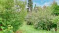Teilans. Garten